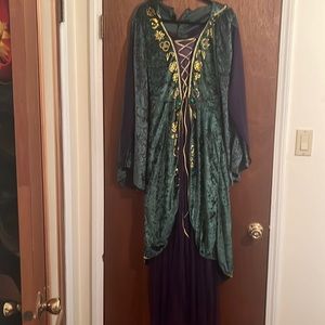 Spirit Halloween Winifred Sanderson costume